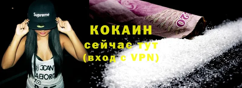 Cocaine FishScale  кракен ТОР  Новочебоксарск 