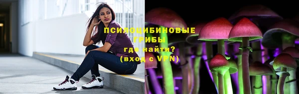 соль ск Лихославль