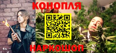 шишки Коммунар