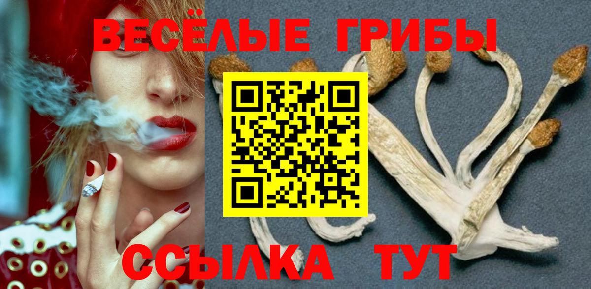 Галлюциногенные грибы ЛСД  купить   Новочебоксарск  Вход с VPN 
